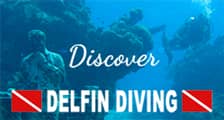 delfin diving logo