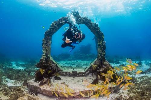 mexico divers 3