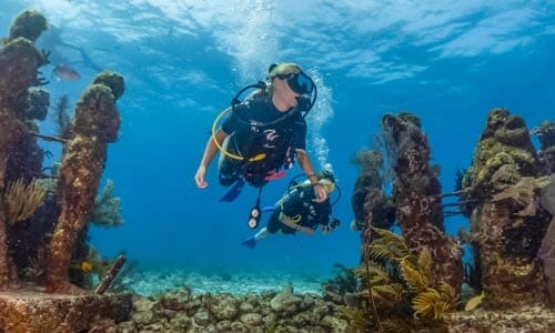 pocna dive center c5