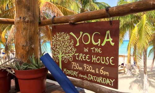 treehouse yoga c5