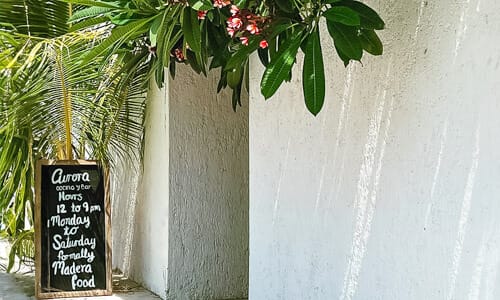 aurora cocina bar c5 1